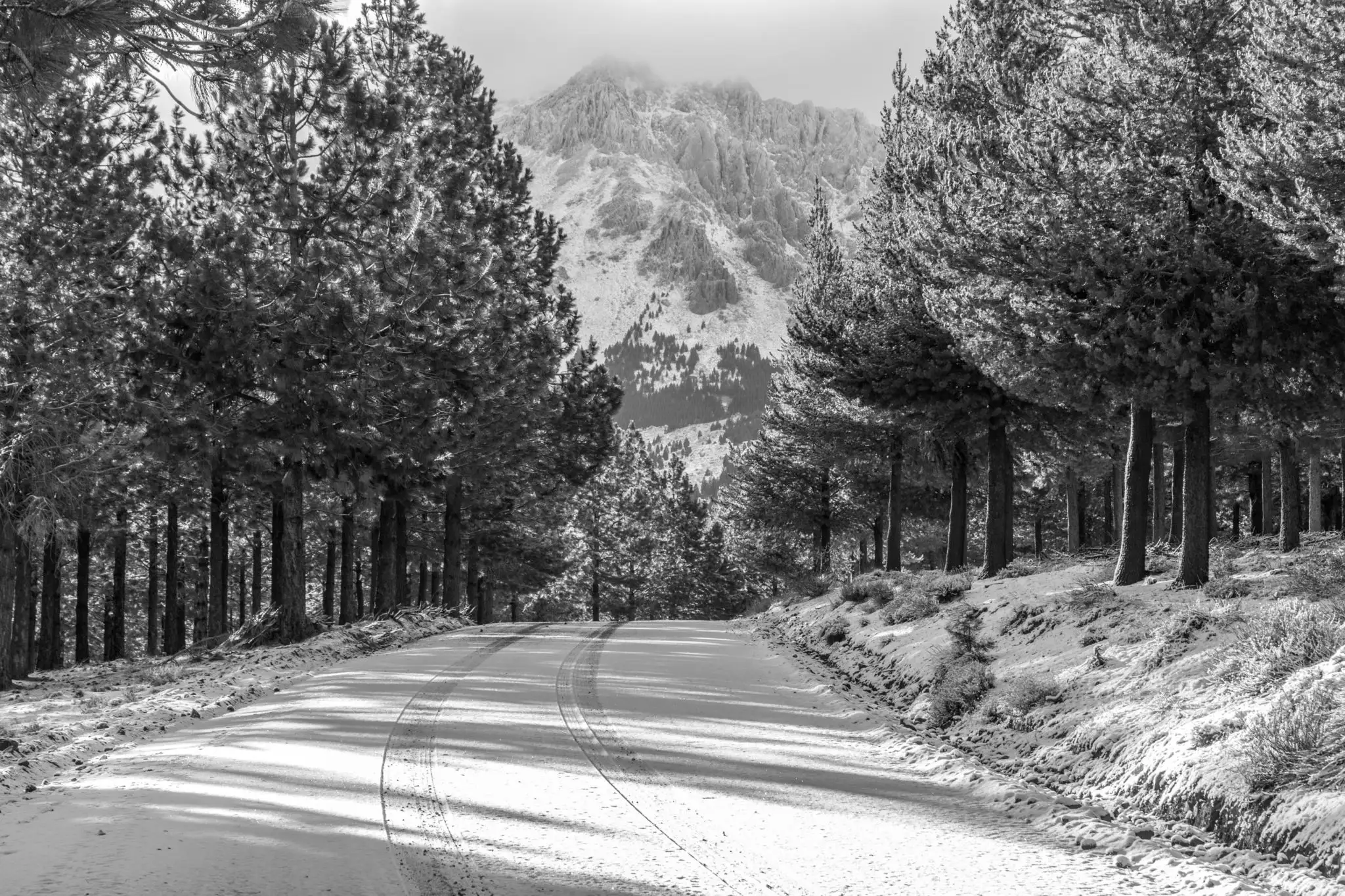 Ingreso a Huinganco por la ruta de los pinos