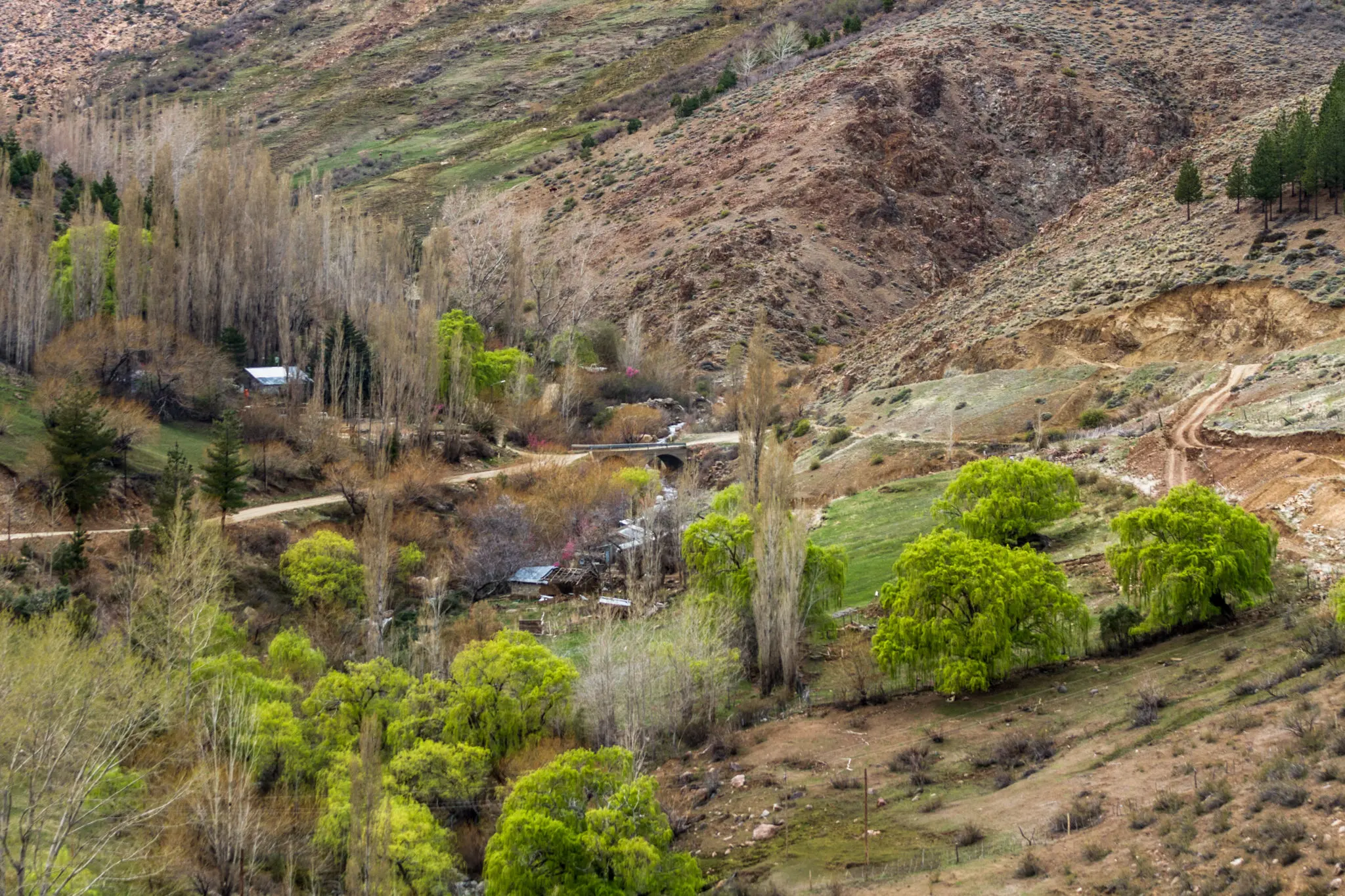 Paisajes de Huinganco y alrededores — 4